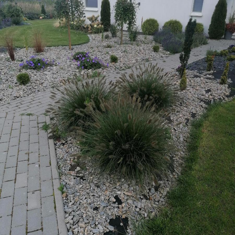 "Lawendowe Wzgorze" Villa Zastan Exterior foto